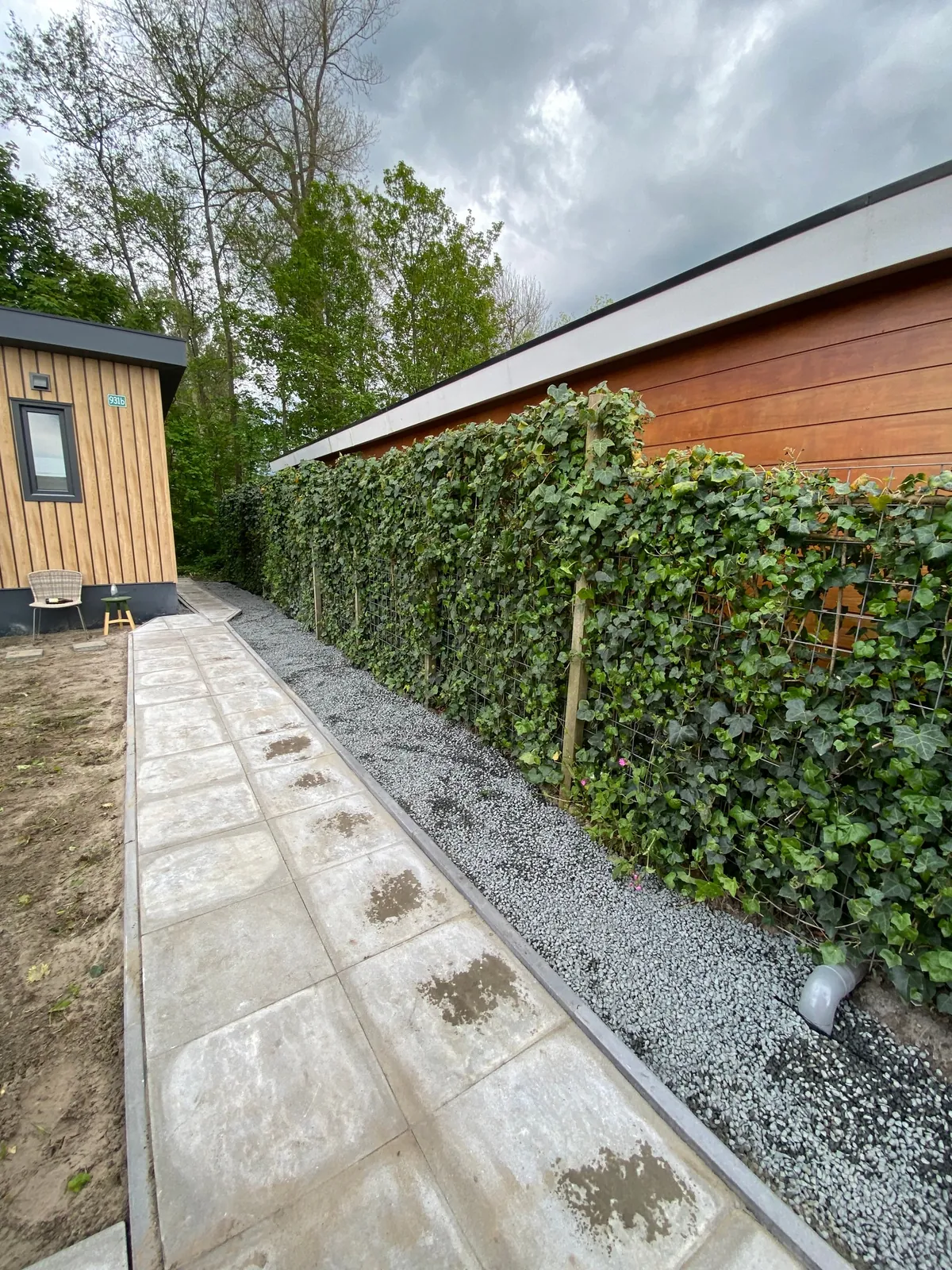 Tuinpad van lichte tegels met grindstrook langs een klimophaag